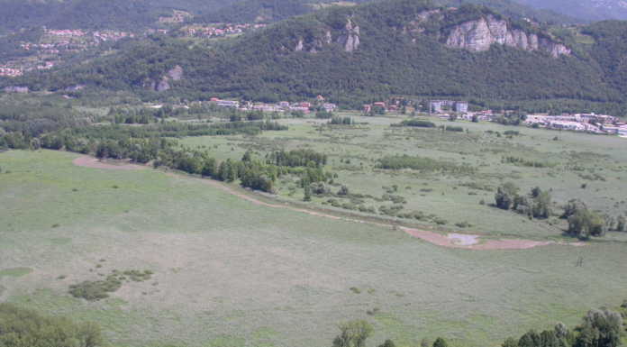 Parco Adda. Al via i lavori per la realizzazione di un accesso nella palude di Brivio