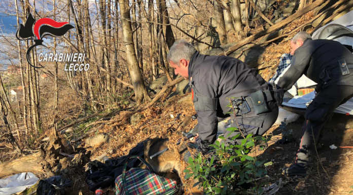 Dopo il blitz antidroga, sabato Dervio si ‘riprende’ il suo bosco