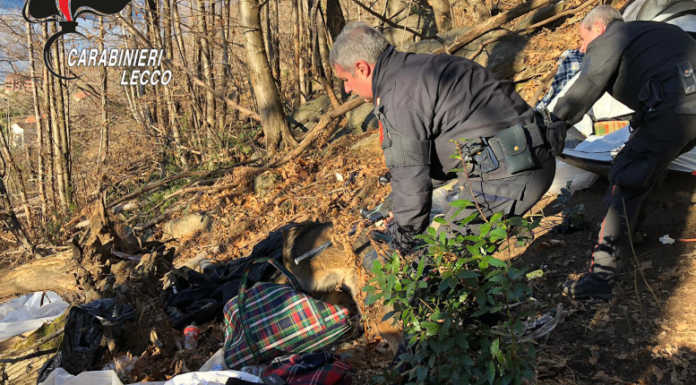 Dervio, blitz dei carabinieri nei boschi: due arresti per droga, armi e ricettazione