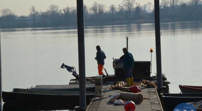 E’ cominciata la posa dei teli anti-alghe nei laghi di Olginate e Garlate