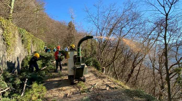 Rancio. Il gruppo antincendio Alpini Monte Medale di nuovo al lavoro