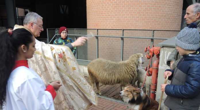Pasturo, la benedizione degli animali per Sant’Antonio