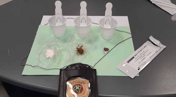 Dervio. La mamma porta il figlio a comprare la droga, ‘beccati’ dalla Locale