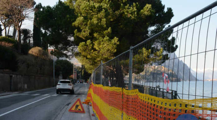 Malgrate, lavori al via sul lungolago. “I pini? Salvarli ci costerebbe 400 mila euro”