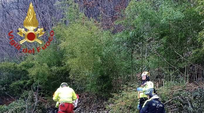 S’infortuna mentre taglia un albero. Soccorsi a Primaluna