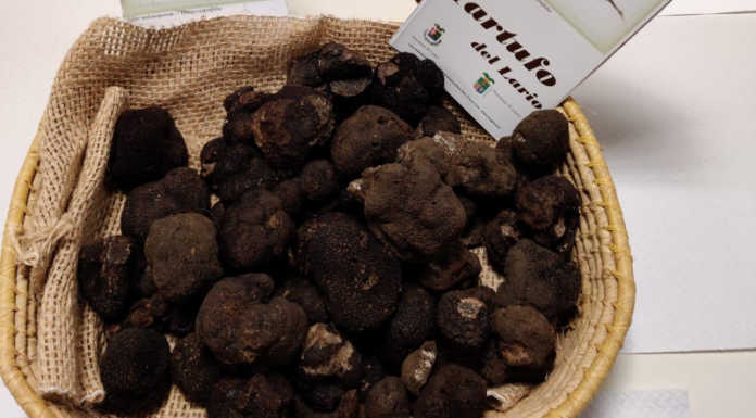 Tartufi, in Valsassina un corso per il controllo ufficiale