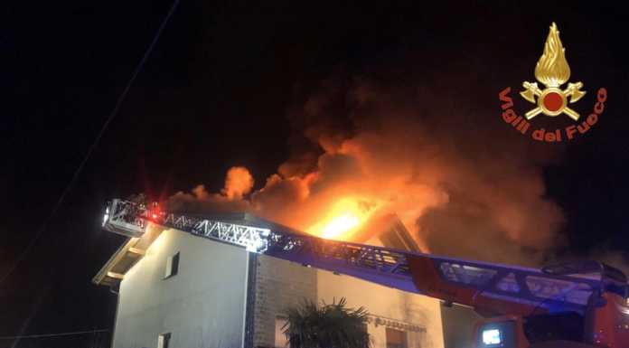 Varese, gatto bloccato nella villa in fiamme: lo salvano i pompieri