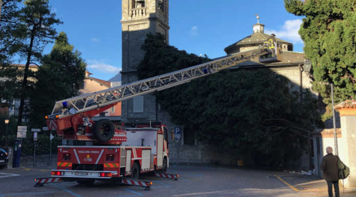 Bellano, 30mila euro per l’abbattimento e la manutenzione degli alberi