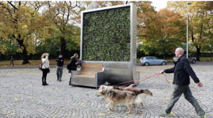 Merate, il Comitato punta sull’innovazione: “Un city tree in Viale Verdi”