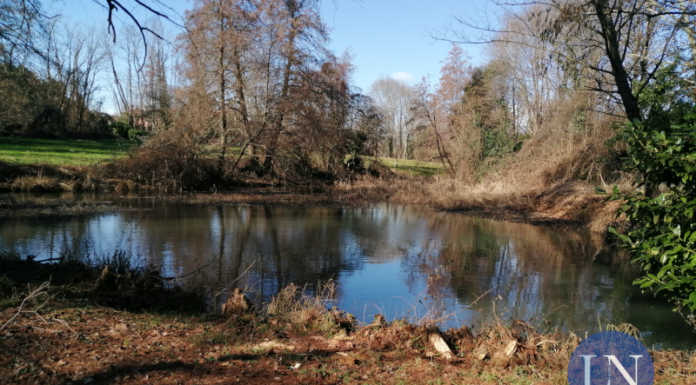 Cambia Merate interroga sulla riqualificazione del laghetto di San Rocco Laghetto di San Rocco Merate