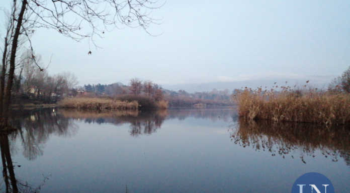Lago di Sartirana, rimane impigliato in un filo da pesca, uccello liberato grazie ai passanti