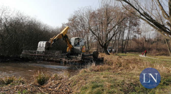 Merate, terminati i lavori di sagomatura del canneto del lago di Sartirana