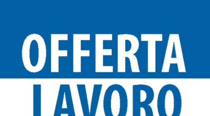 AZIENDA LEADER NEL SETTORE DI PRODOTTI PER RISTORAZIONE CERCA PERSONALE