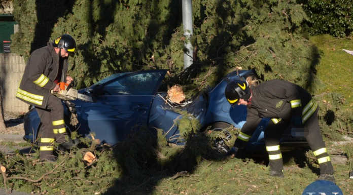Pianta abbattuta dal vento, auto distrutta sul lungolago di Lecco
