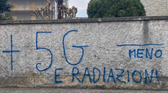 Olginate. Scritta a caratteri cubitali per difendere i cedri dell’ex municipio