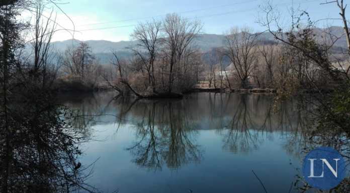 Legambiente Lecco celebra la Giornata Mondiale delle Zone Umide Palude di Brivio