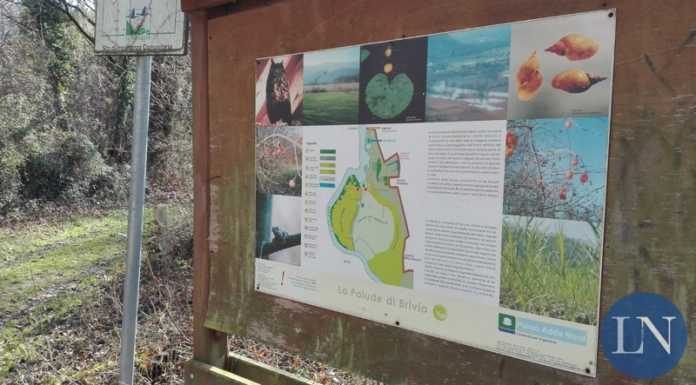 Alla scoperta della palude con Legambiente e Parco Adda Nord