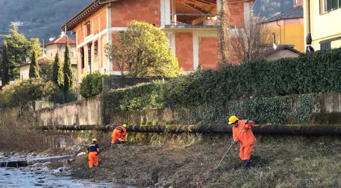 Mandello, ripulite le sponde del Meria. Cresce il gruppo di Protezione Civile