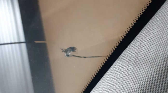 Ancora parabrezza rotti sulla SS36, nuovi asfalti a breve