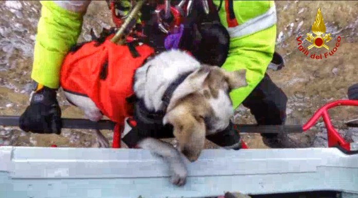 In difficoltà sul Moregallo, giovane e il suo cane recuperati in elicottero