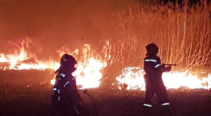 Pian di Spagna, grosso incendio nella riserva naturale