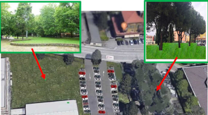 Merate, il comitato civico ambiente su Viale Verdi: “Non sacrifichiamo gli alberi”