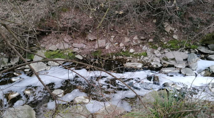 Olgiate, schiuma nel torrente Molgora in località Vigna