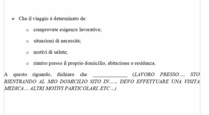 Coronavirus. Autocertificazione per gli spostamenti. Predisposti i controlli