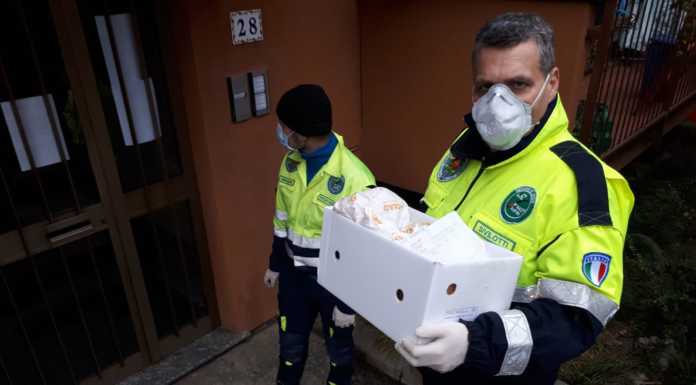Spesa, Coc e mascherine: l’emergenza covid 19 ha anche il volto della Protezione civile