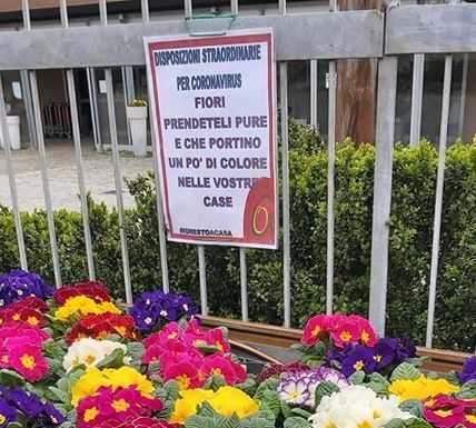 Airuno, i fiori sono in regalo: “Portino colore e gioia nelle vostre case”