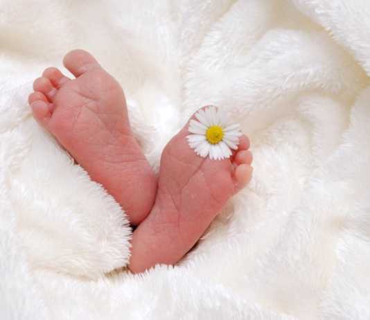 Ospedale, 12 bimbi nati in un giorno: “Giornata intensa ma emozionante”