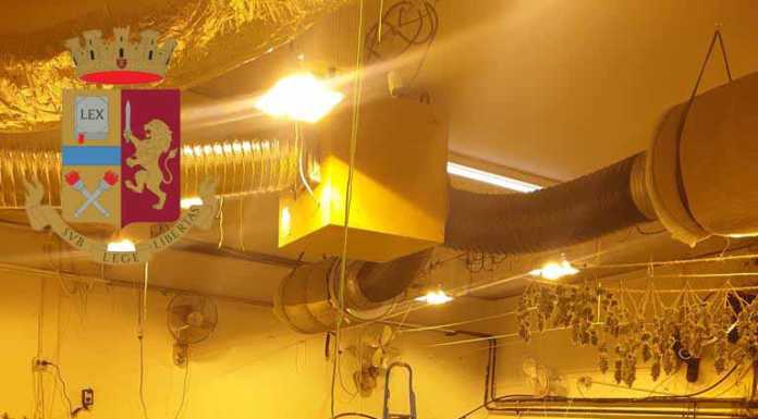 Milano, scoperta una piantagione di Marijuana. Tre arresti