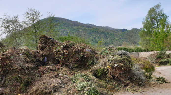 Brivio, raccolti 140 quintali di scarti di verde grazie alla raccolta porta a porta