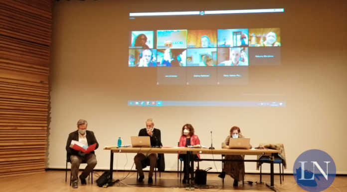 Buco di quasi 4 milioni di euro per Retesalute: il dibattito in assemblea