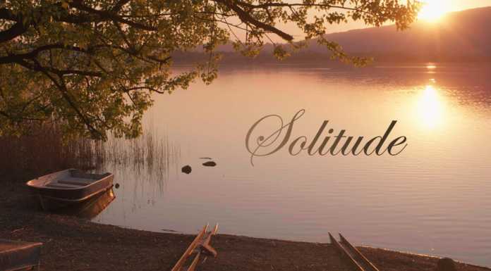 La quarantena filmata da Yuri Palma: nel nuovo episodio la natura è protagonista