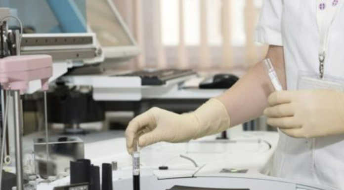 Dal pipistrello all’uomo: l’evoluzione del nuovo coronavirus. Lo studio del Medea