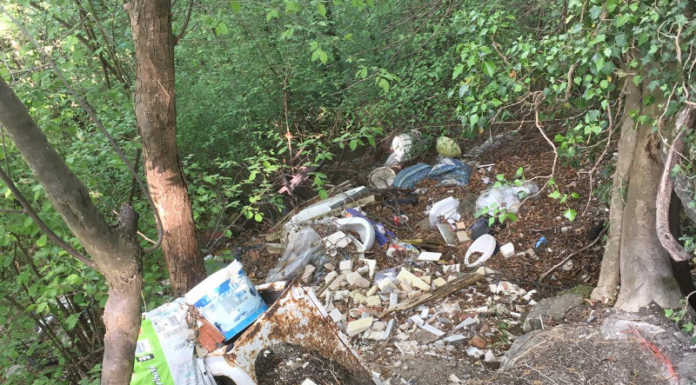 Uno scempio la SP46 tra Onno e Valbrona, discarica a cielo aperto nei boschi