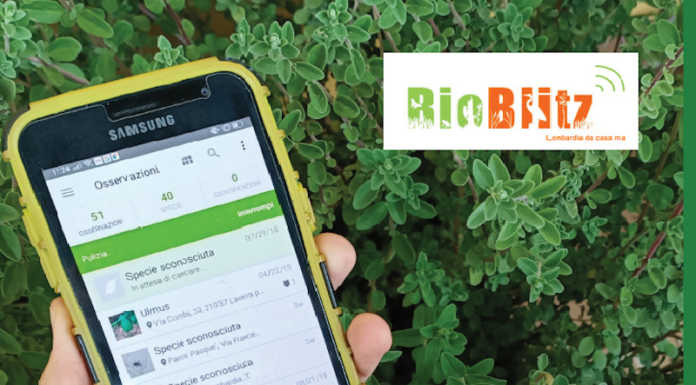 Anche il Parco del Curone partecipa a Bioblitz da casa mia