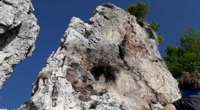 Moregallo, dopo la bonifica riaperto il sentiero che sale da Sambrosera