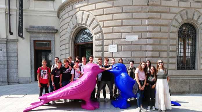 Sociale e sport. Studenti dell’IMA ‘registi’ di campagne di sensibilizzazione