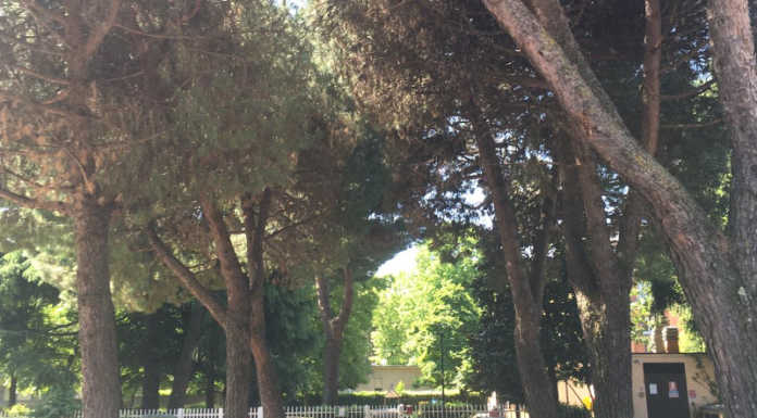 Merate, viale Verdi: l’agronomo Zanzi chiede un confronto con il Comune Parcheggio viale Verdi