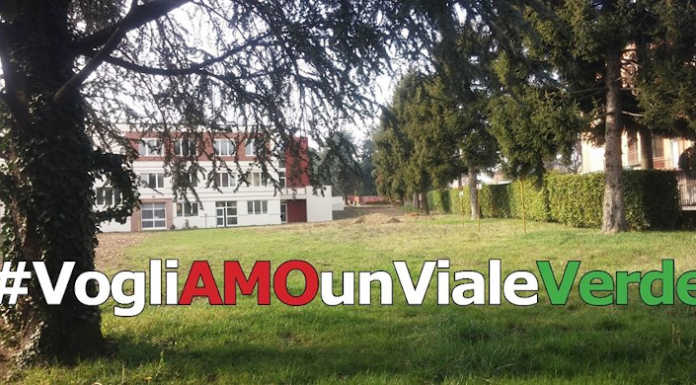 Merate, progetto di viale Verdi: nasce il gruppo VogliAmounVialeVerde