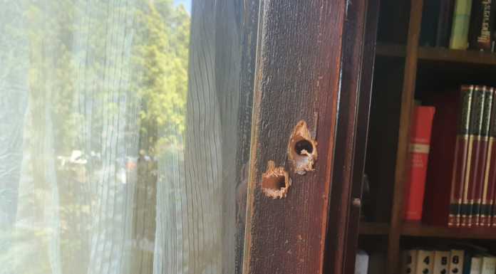 Ladri a Olgiate, svaligiata la casa dell’assessore Fratangeli: “Banda senza scrupoli”