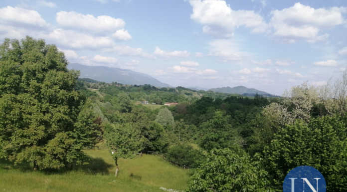 Parco del Curone: iscrizioni aperte per il centro Estate verde