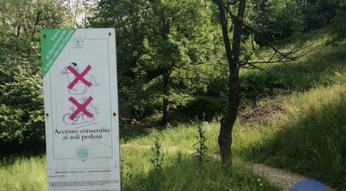 Ricerche al parco del Curone, smarrita una giovane. Ritrovata sana e salva