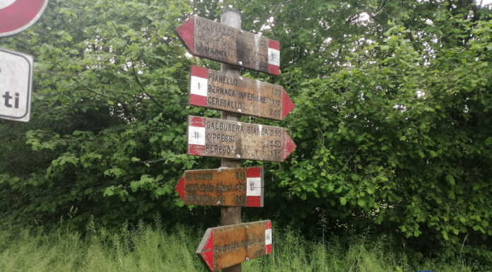 Parco del Curone: sentieri aperti per pedoni, bici e cavalli. “Rispettiamo le regole e usiamo il buon senso”