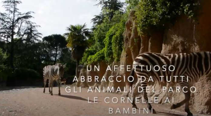 Calolzio. La scuola dell’infanzia Caterina Cittadini in gita (virtuale) a Le Cornelle