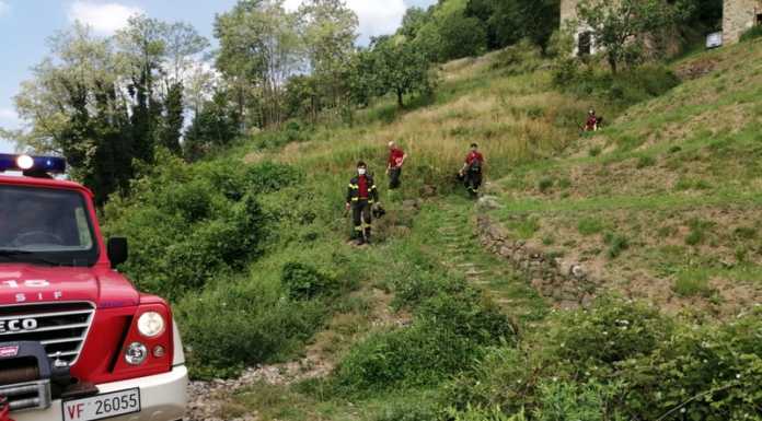 Incendio in collina a Olgiate, intervengono i Vigili del Fuoco