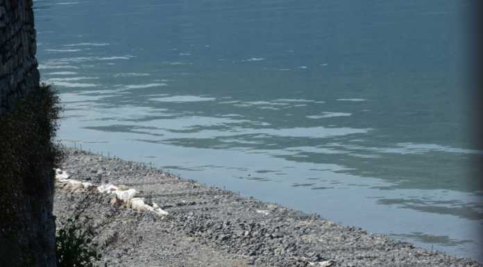Prosegue il cantiere alla spiaggia di Olcio, a breve i lavori per il percorso pedonale