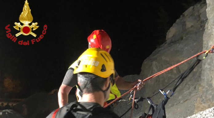 I Vigili del Fuoco salvano due cani bloccati in località Moregallo
